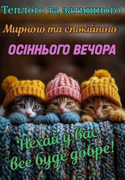 Осіння листівка з котиками: Теплий та затишний вечір
