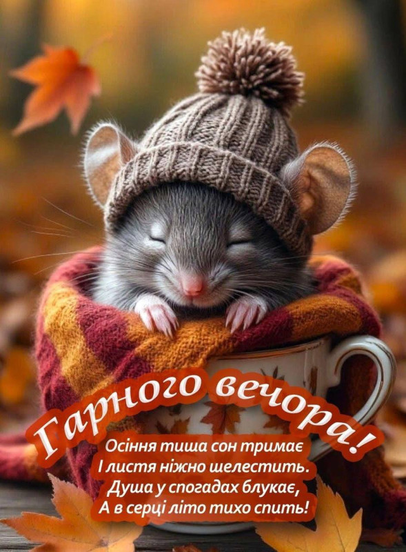 Листівка Гарного вечора з милим мишеням, осіння листівка