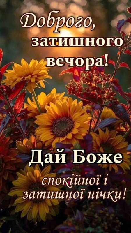 Листівка Доброго вечора: красиві соняшники та побажання