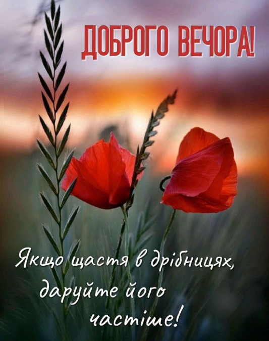 Якщо щастя в дрібницях, даруйте його частіше, доброго вечора!