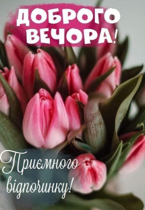 Доброго вечора! Приємного відпочинку!