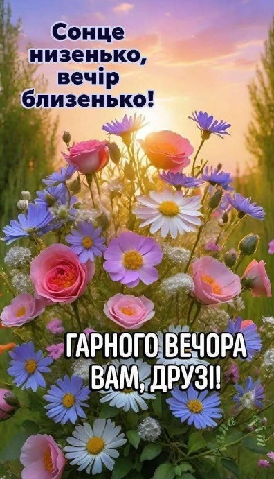 Букет різнокольорових квітів на фоні заходу сонця з написом Гарного вечора вам, друзі