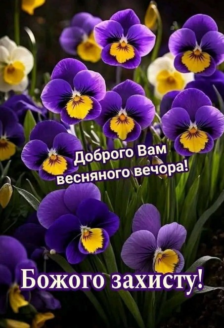 Листівка Доброго вечора з квітами, вітання та побажання