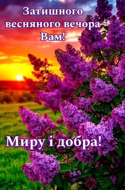 Листівка Затишного весняного вечора: бузок та захід сонця