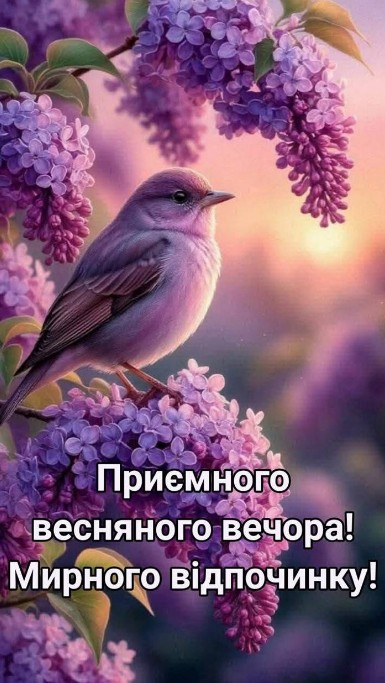 Листівка Весняний вечір: бузок та пташка - побажання миру