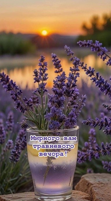 Листівка Мирного травневого вечора 