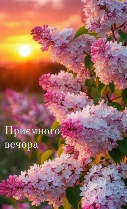 Листівка Приємного вечора з бузком 