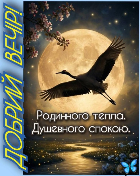 Добрий вечір, родинне тепло та душевний спокій