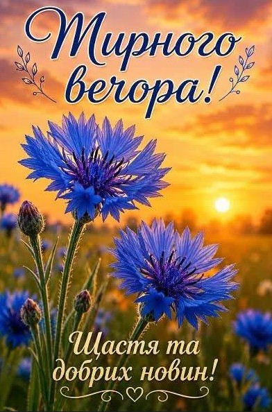 Красива листівка з яскраво-синіми волошками на фоні вечірнього заходу сонця з написом Мирного вечора