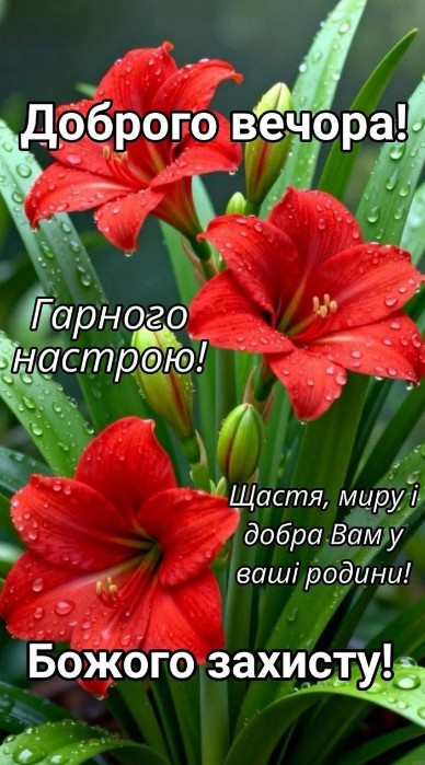 Листівка Доброго вечора та побажання миру