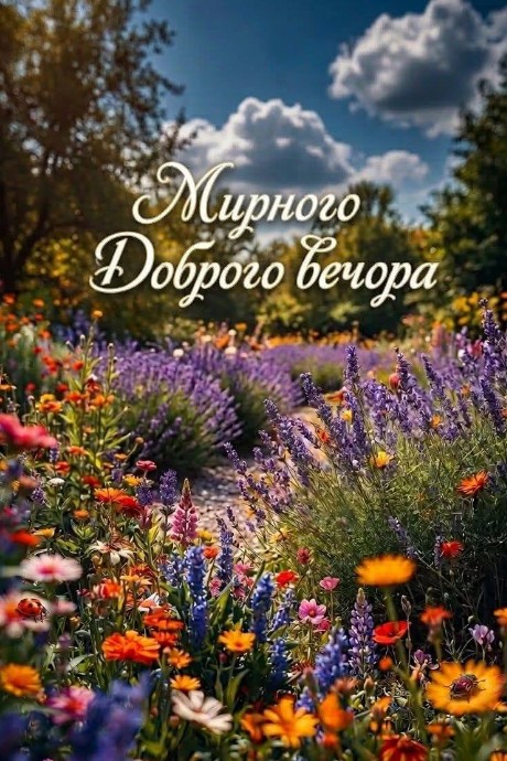 Мирного доброго вечора з квітами та лавандою