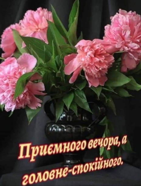 Приємного вечора, а головне - спокійного