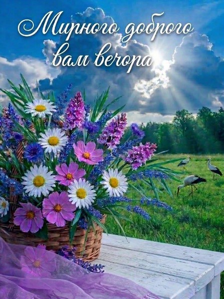 Мирного доброго вечора