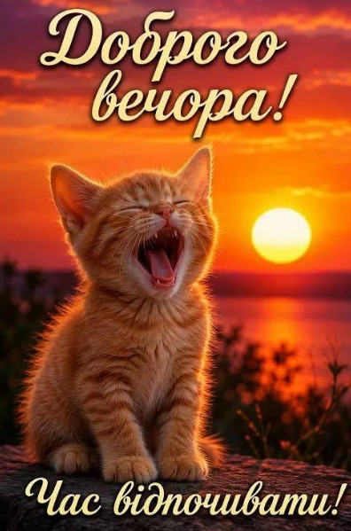 Доброго вечора з котиком — красиве привітання