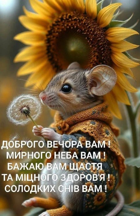 Листівка з побажанням доброго вечора