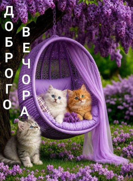 Листівка Доброго вечора 