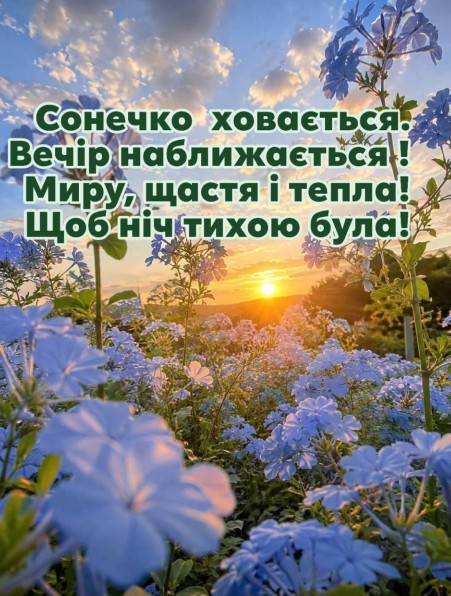 Красива вечірня листівка із зображенням заходу сонця та блакитними квітами з побажанням миру, щастя та спокійної ночі