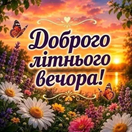 Красива листівка з написом Доброго літнього вечора на фоні заходу сонця, ромашок та метеликів