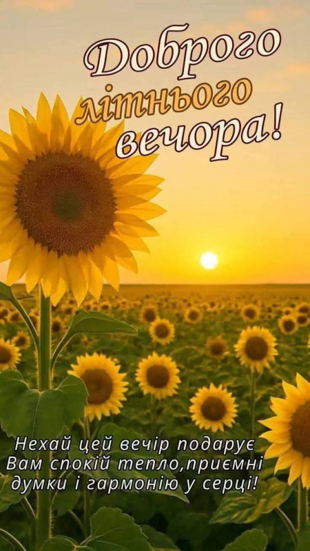 Листівка Доброго літнього вечора з соняшниками