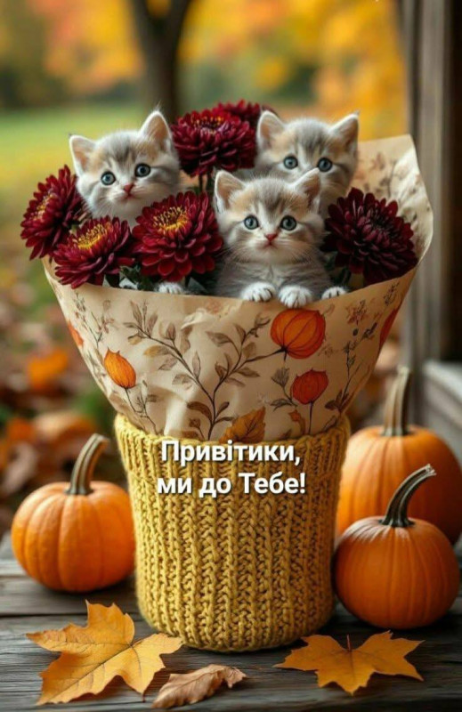 Листівка з котиками та осіннім букетом: Привітики, ми до Тебе!