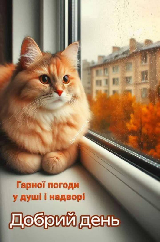 Листівка Добрий день з побажанням гарної погоди в душі та надворі