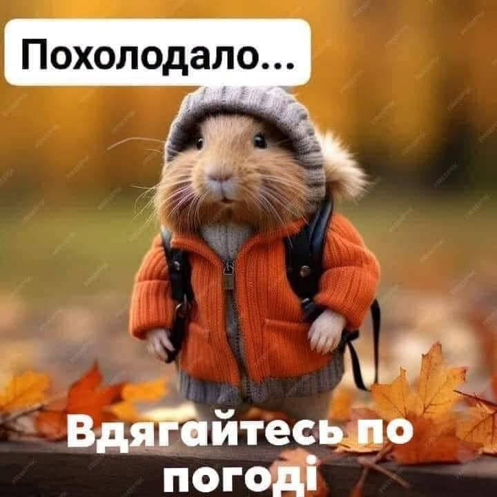 Листівка Похолодало, вдягайтеся по погоді