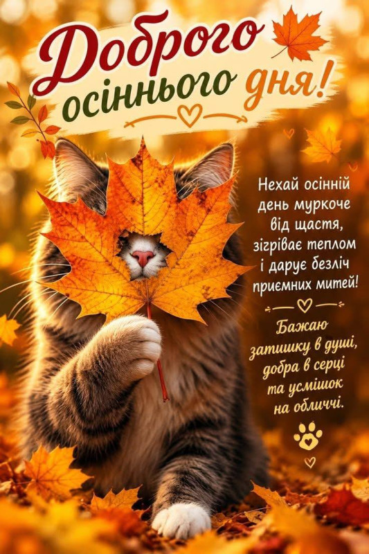 Милий пухнастий котик тримає осінній кленовий листок біля мордочки, напис Доброго осіннього дня