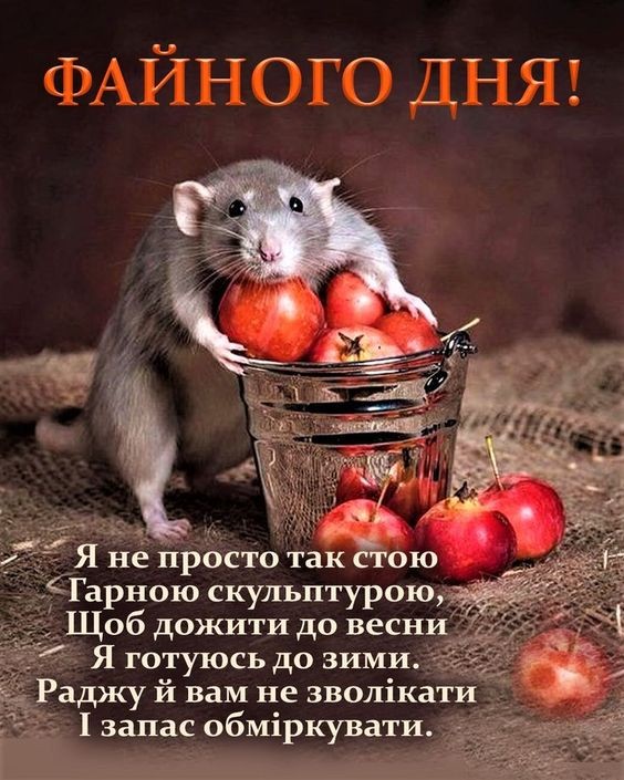 Файного дня!