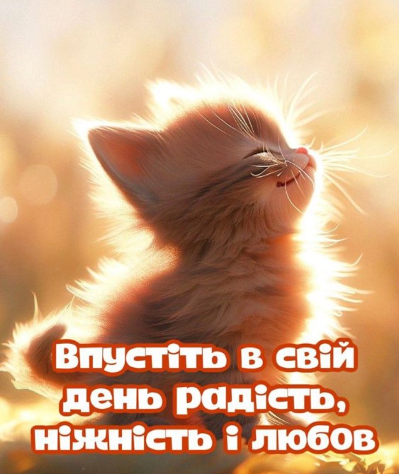 Впустіть в свій день радість, ніжність і любов