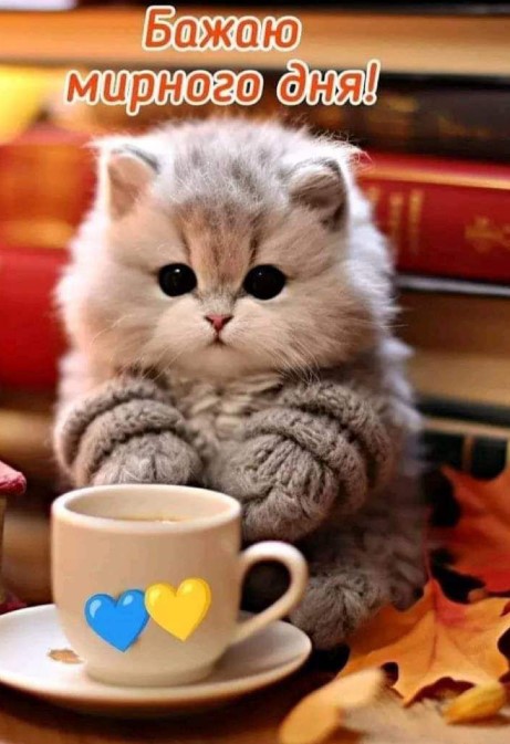 Котик у в'язаних рукавичках п'є чай та бажає вам мирного дня