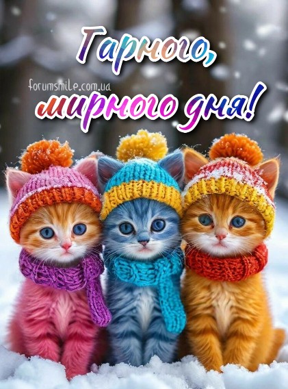 Мирного, зимового дня!