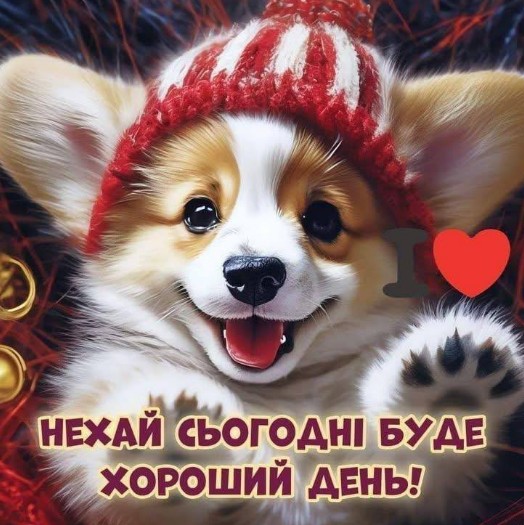Доброго дня, легкого настрою і приємних планів!