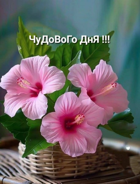 Чудового настрою і гарного дня!