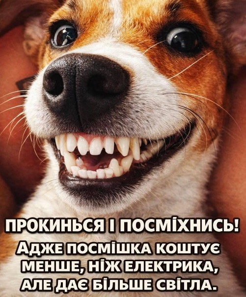 Листівка з усміхненою собакою: Прокинься і посміхнись