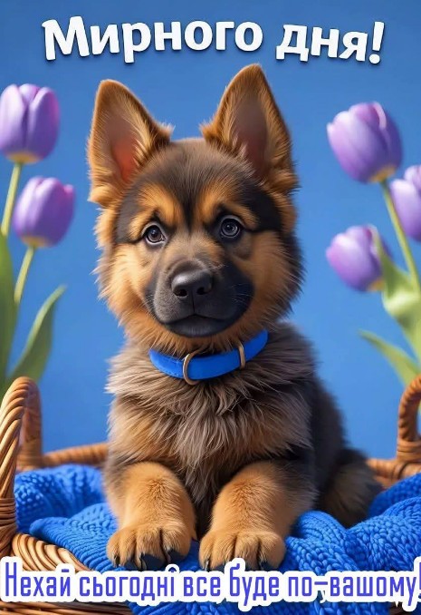 Листівка з милим цуценям та побажанням мирного дня