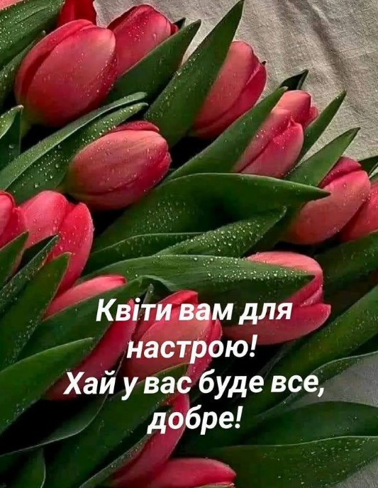 Листівка з червоними тюльпанами: привітання для гарного настрою