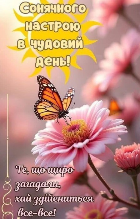 Листівка з побажанням гарного дня та метеликом на квітці