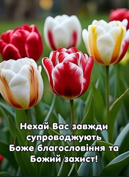 Листівка з тюльпанами: Божі благословення та захист