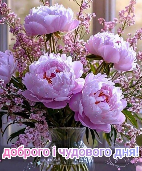 Листівка Доброго і чудового дня з ніжними півоніями