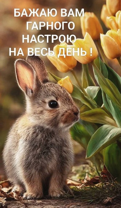 Листівка з побажанням гарного настрою та милим кроликом