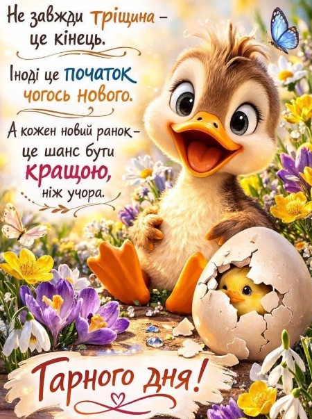 Листівка з побажанням гарного дня та милим каченям
