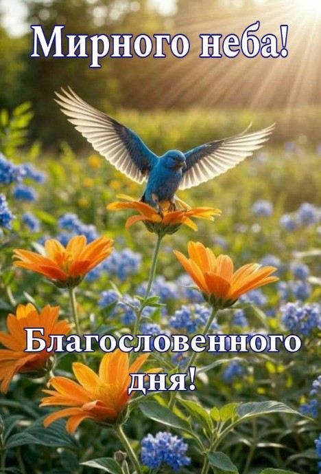 Листівка Мирного неба та благословенного дня 