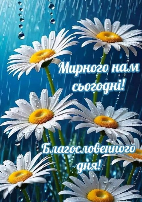 Листівка з ромашками: Мирного та благословенного дня