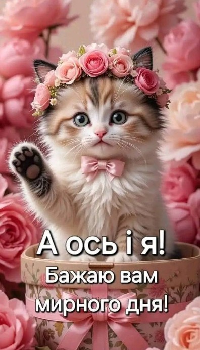 Бажаю вам мирного дня!