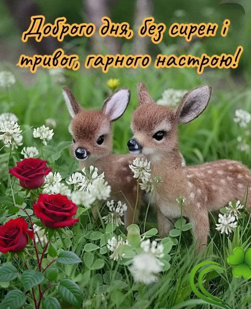 Листівка Доброго дня без сирен 