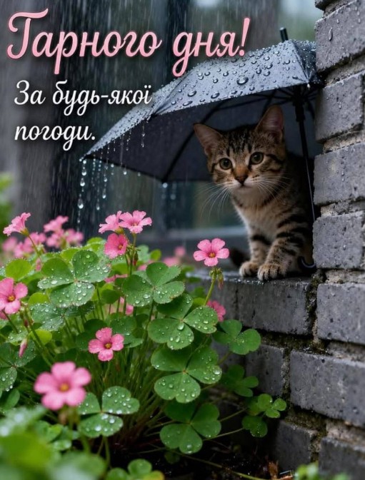 Листівка Гарного дня, милий котик під парасолькою у дощ