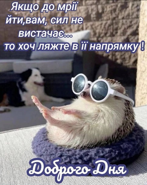 Листівка з мотиваційним побажанням гарного дня.