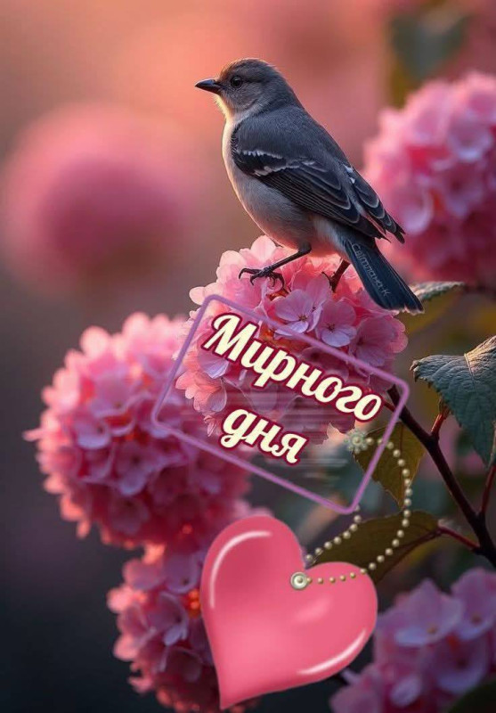 Листівка Мирного дня.