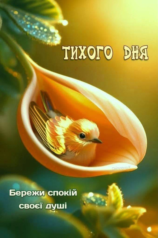 Мила маленька пташка сидить у пелюстці квітки, напис на листівці Тихого дня та Бережи спокій своєї душі
