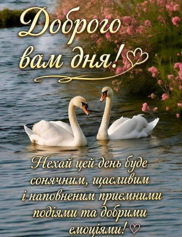 Листівка Доброго дня з лебедями — гарне побажання